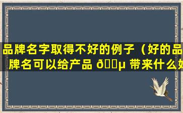 品牌名字取得不好的例子（好的品牌名可以给产品 🌵 带来什么好处）